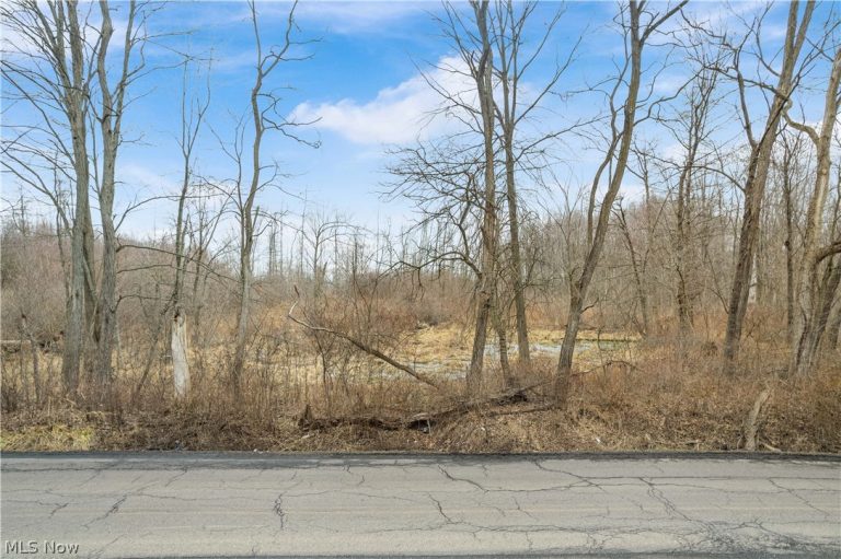 Lane Road, Warren, OH - Photo 2