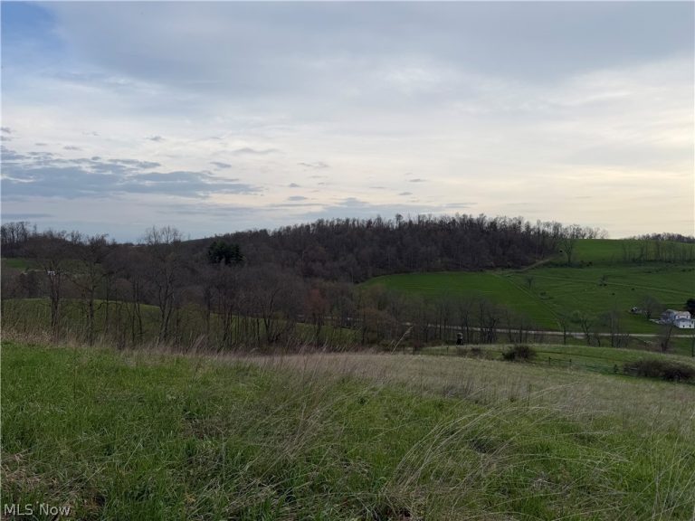Indian Spring Road, Baltic, OH - Photo 3