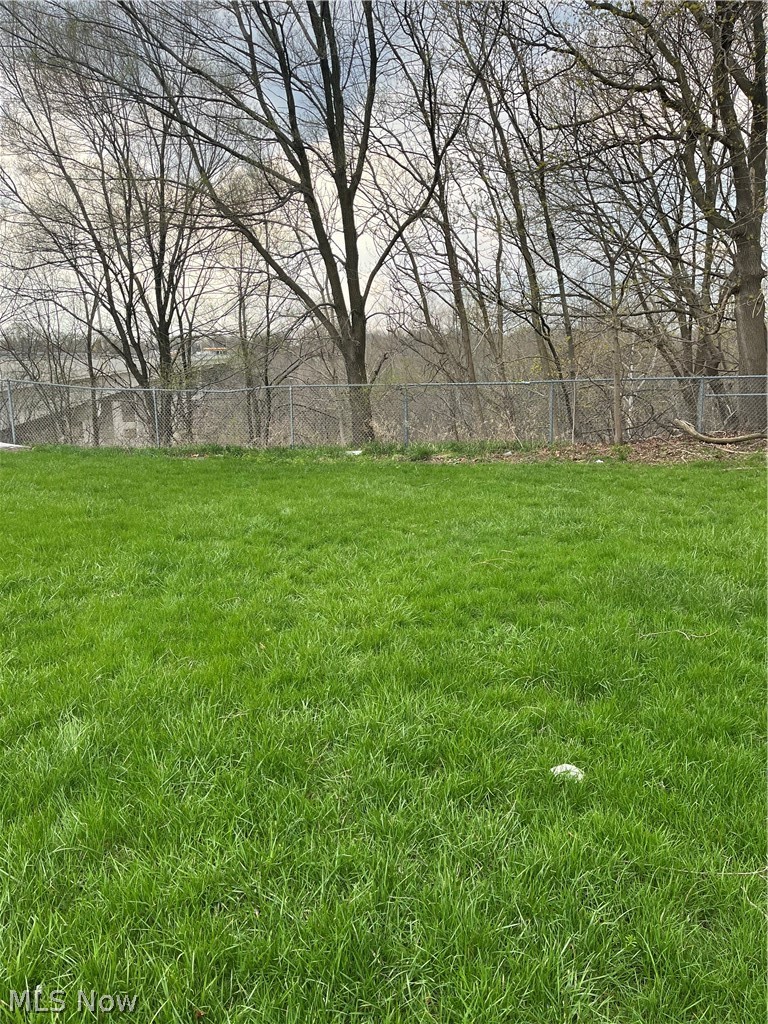 Schenley Avenue, Ashtabula, OH - Photo 4