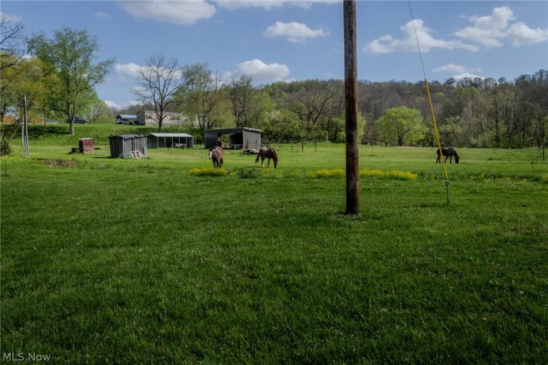 5762 Wadesville Road, Belleville, WV - Photo 5