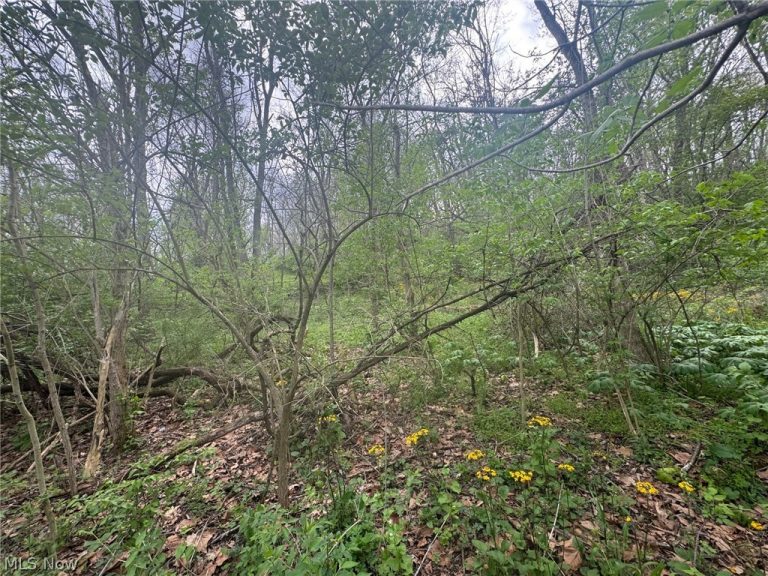 Coopermill Road, Zanesville, OH - Photo 2