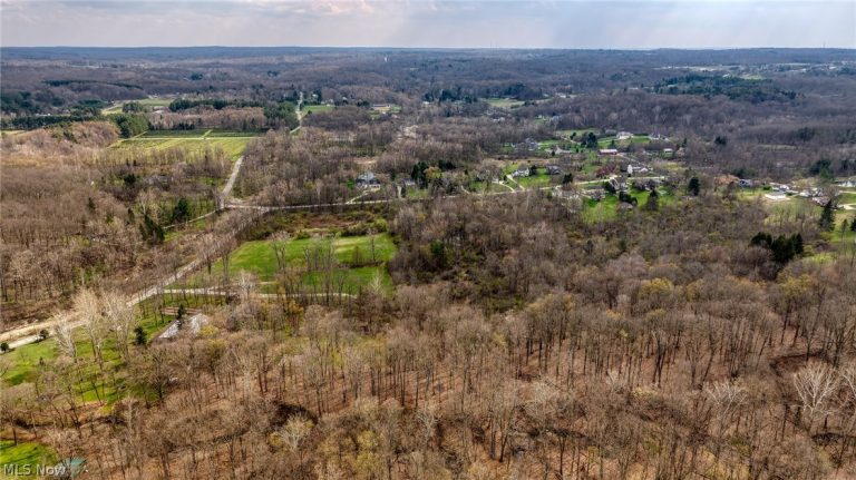 V/L Dewey Road, Kirtland, OH - Photo 4