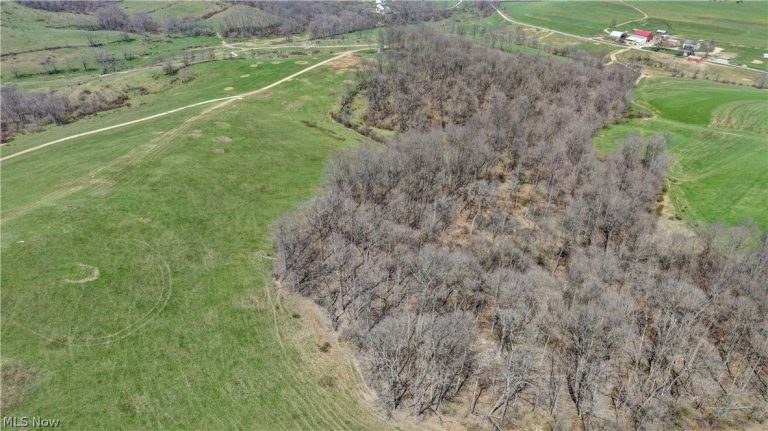 Township Road 127, Millersburg, OH - Photo 4