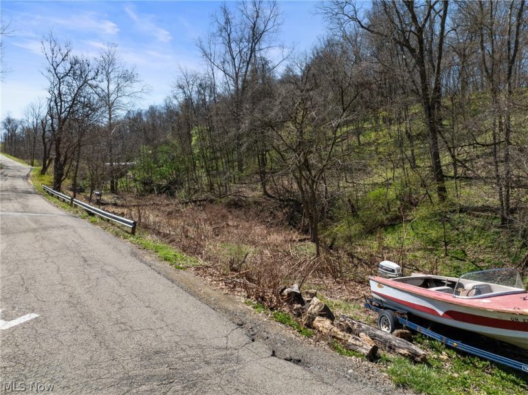 115 Township Road 501, Mingo Junction, OH - Photo 3