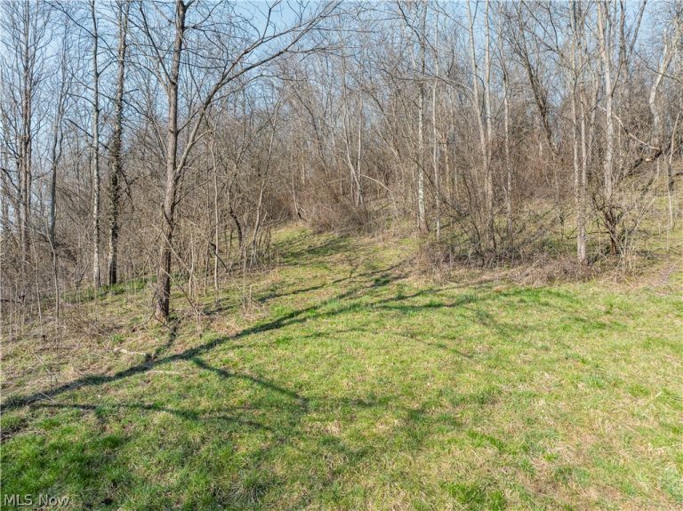 Coal Road, Fresno, OH - Photo 8