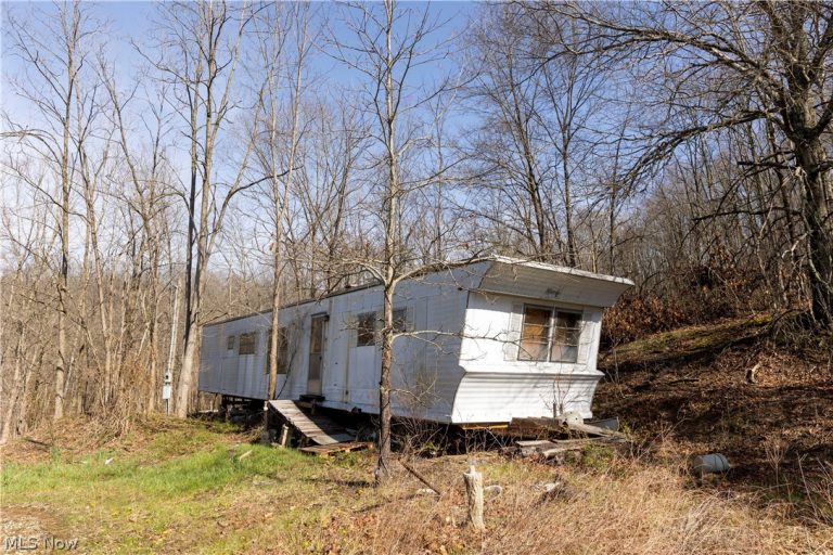505 Back Run Road, Philo, OH, 43771