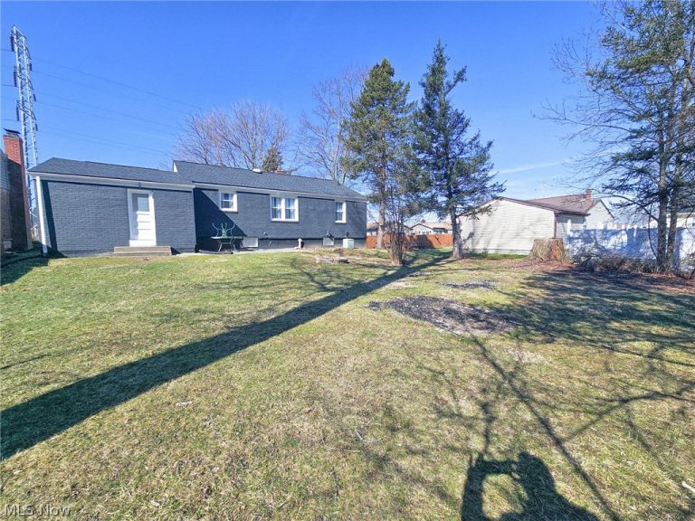 1054 Runge Avenue, Struthers, OH - Photo 4