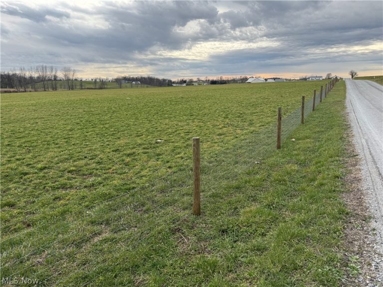 Township Road 613, Fredericksburg, OH - Photo 2