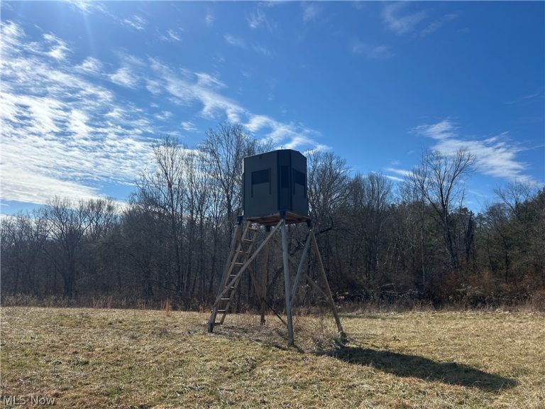 Ridgeview Lane, Blue Rock, OH, 43727