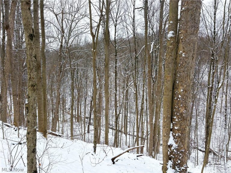 Tract 2 MORRS RIDGE Road, Woodsfield, OH - Photo 8