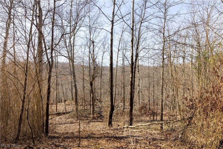 505 Back Run Road, Philo, OH - Photo 6