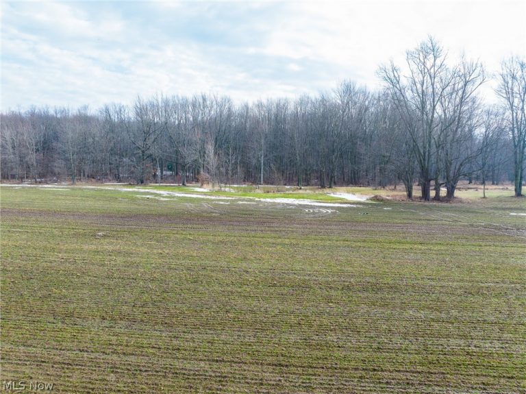 7389 Doylestown Road, Sterling, OH - Photo 8