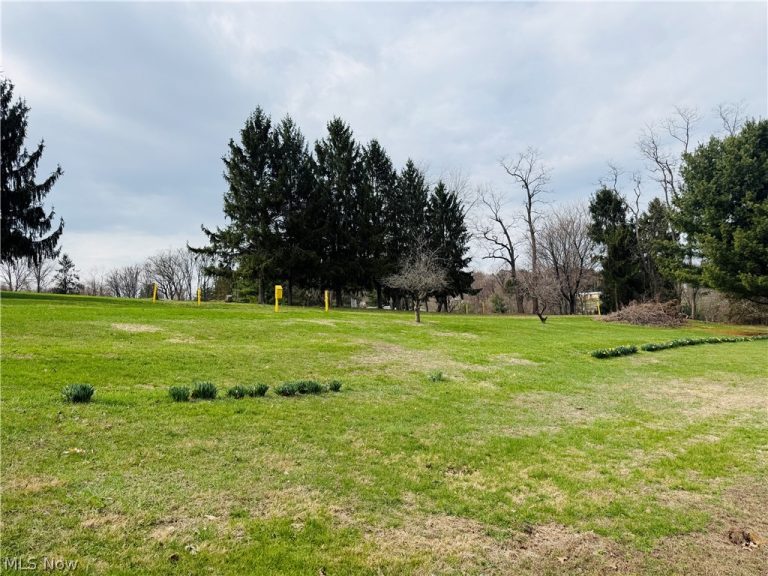 668 Springview Road, East Liverpool, OH - Photo 8