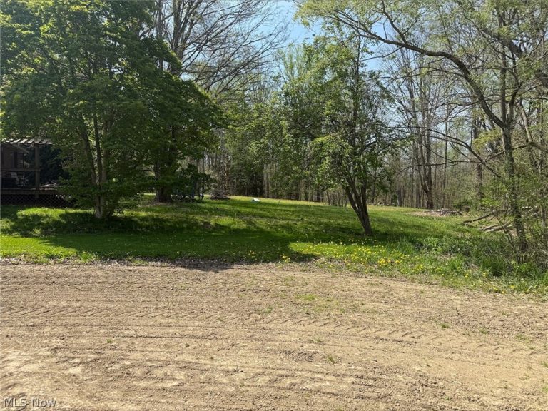 4101 Homeworth Road, Homeworth, OH - Photo 5