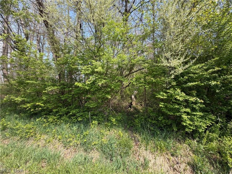 Village Street, Canton, OH - Photo 8