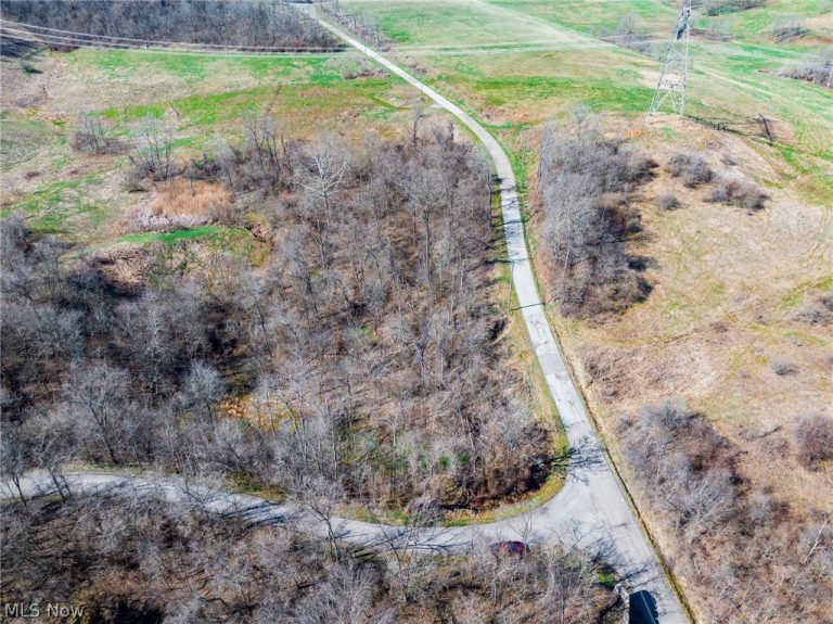 Township Road 135, Dillonvale, OH - Photo 2