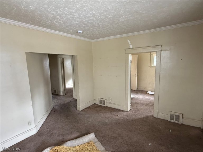 10001 Lamontier Avenue, Cleveland, OH - Photo 5