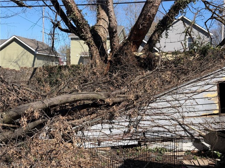 1319 114th Street, Cleveland, OH - Photo 8