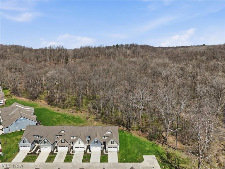 1581 Mud Brook Court, Akron, OH - Photo 4