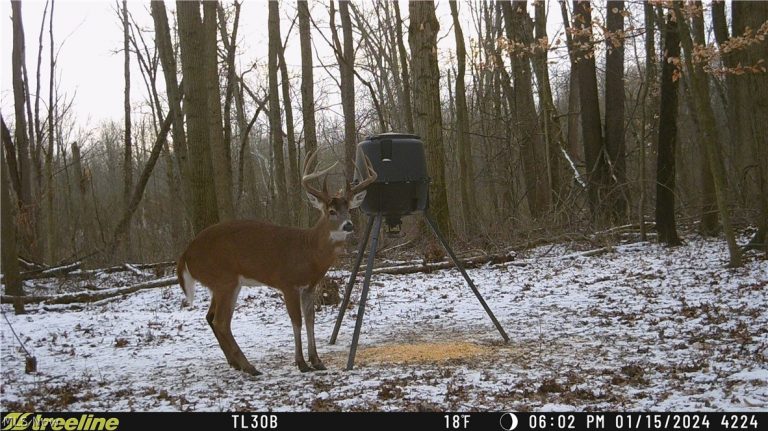 22681 Lexington Road, Alliance, OH - Photo 2