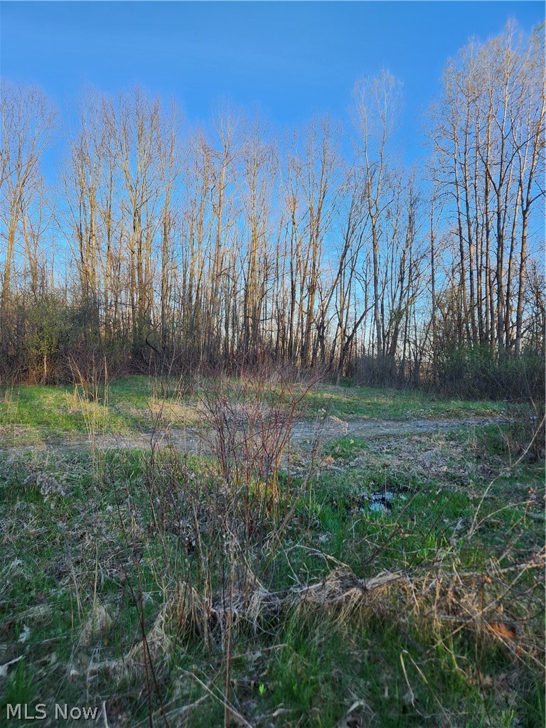 Brecknock, Niles, OH - Photo 2