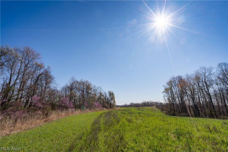 Sealover Hollow Rd Road, Philo, OH - Photo 5