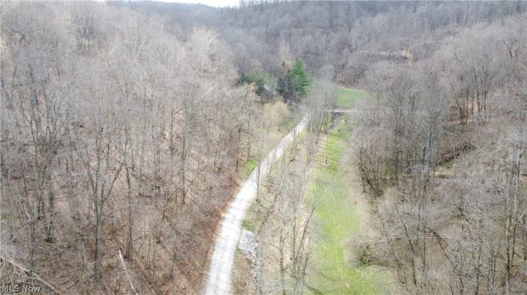 39460 Opossum Creek Road, Sardis, OH - Photo 5