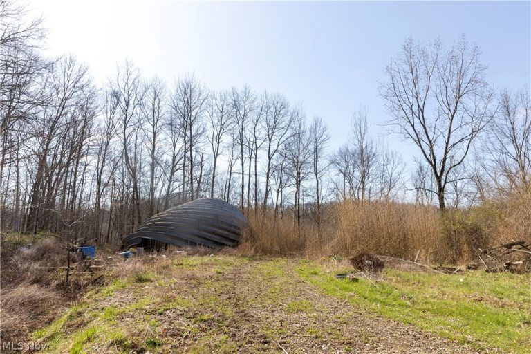 505 Back Run Road, Philo, OH - Photo 4