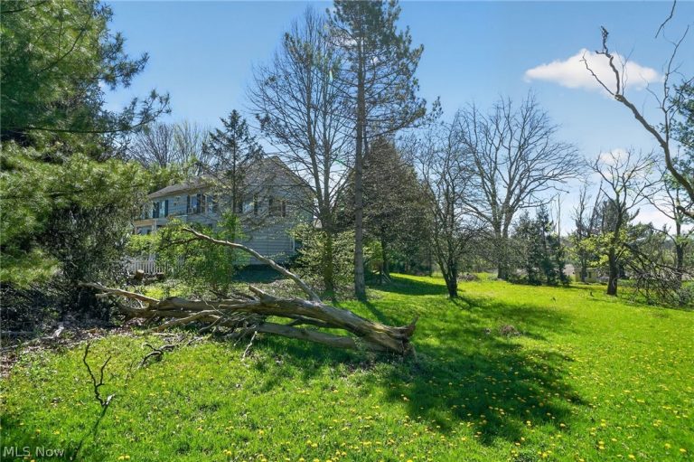 1650 Granger Road, Medina, OH - Photo 4