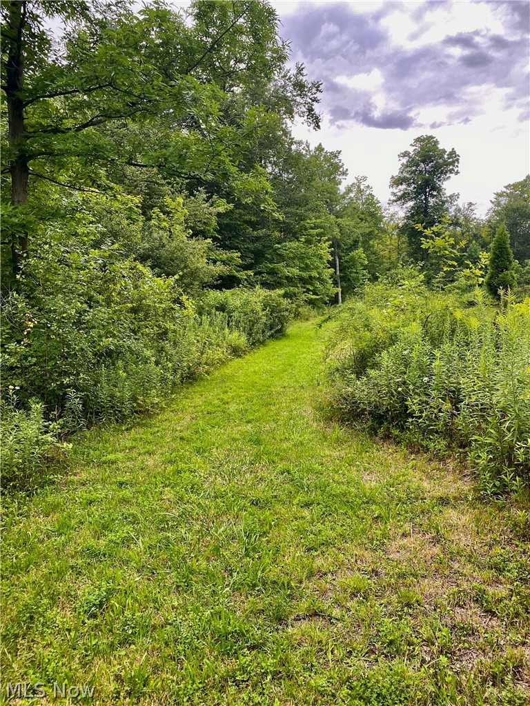 Fowlers Mill Road, Chardon, OH - Photo 8