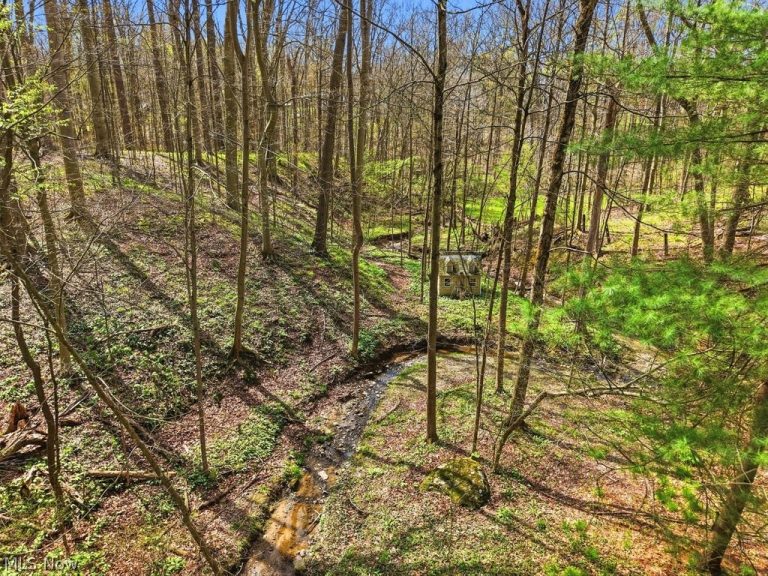 6055 Deepwood Drive, Chagrin Falls, OH - Photo 3