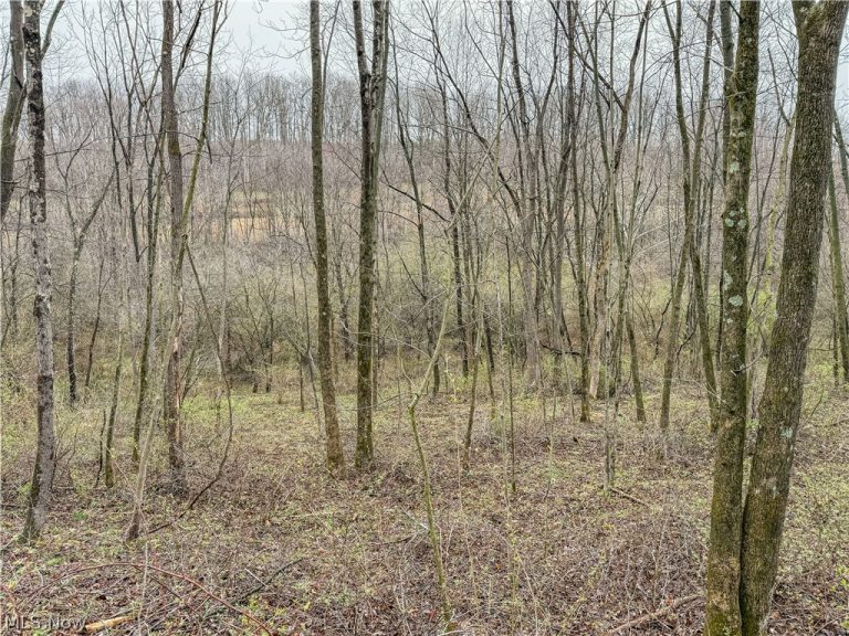 Buck Hill Road, Frazeysburg, OH - Photo 8