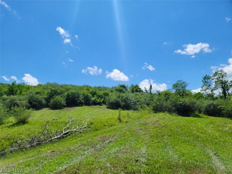 V/L Shephard, Bethesda, OH, 43719