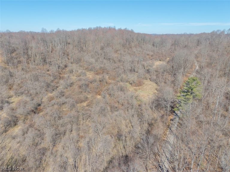 Clem Garvin Road, Caldwell, OH - Photo 3