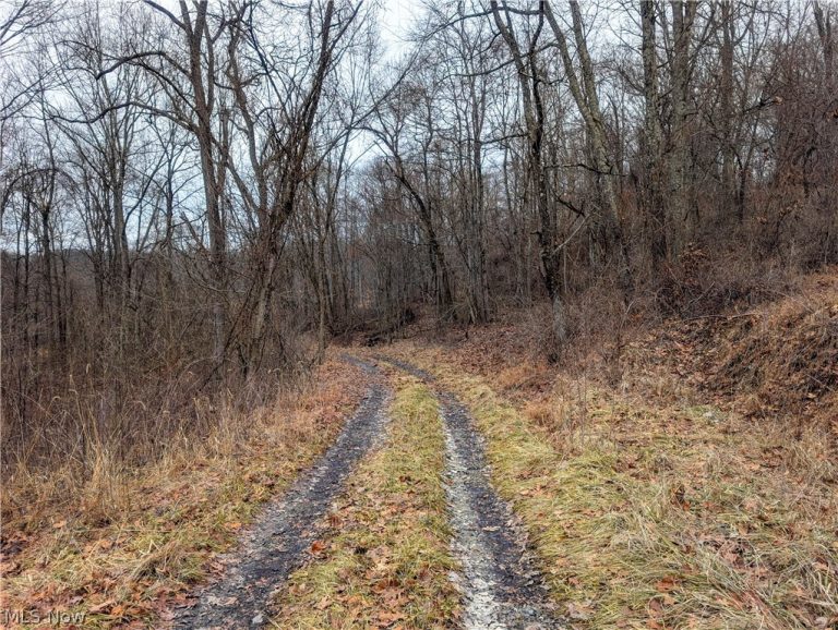 Tract 8 Barber Ridge Road, Lewisville, OH - Photo 3