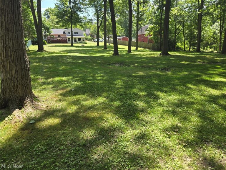 1638 Cleveland Massillon Road, Copley, OH - Photo 3