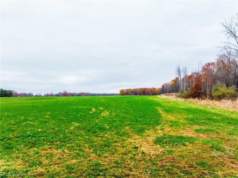 Mahan Denman Road, Bristolville, OH - Photo 3