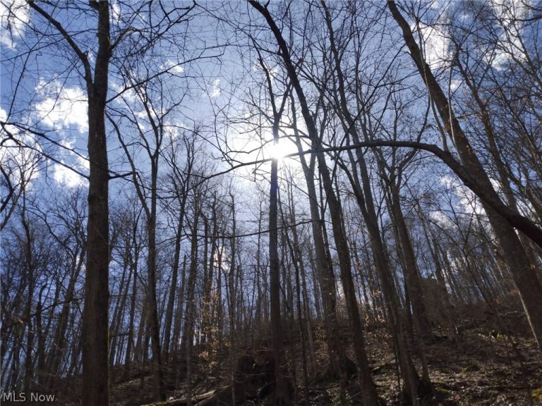 Route 119, Clendenin, WV - Photo 8