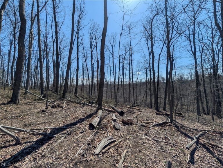 Township Road 289, Hammondsville, OH - Photo 8