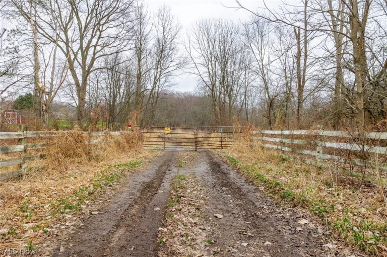 Pigeon Run Avenue, Navarre, OH - Photo 5