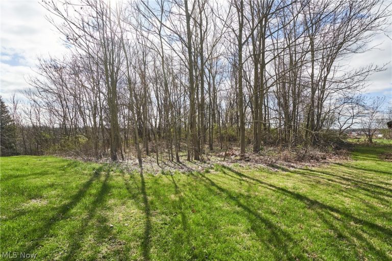 3165 Clark Mill Road, Norton, OH - Photo 4