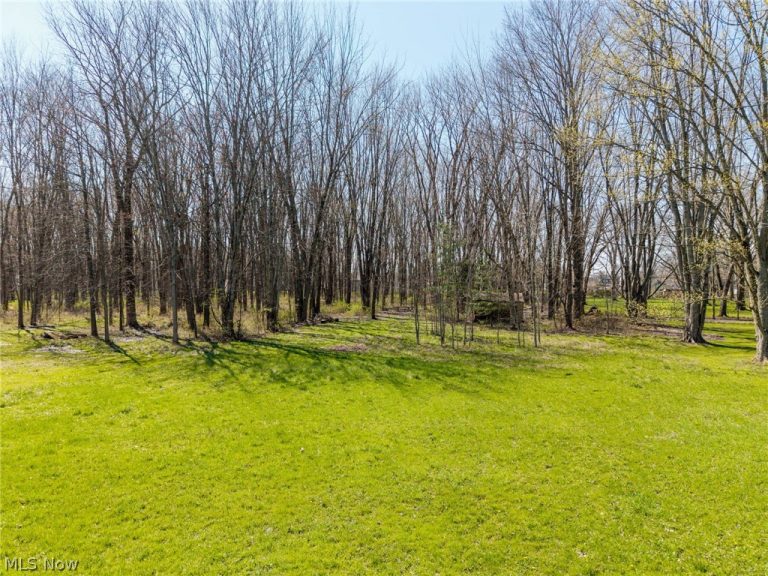 4942 Lear Nagle Road, North Ridgeville, OH - Photo 4