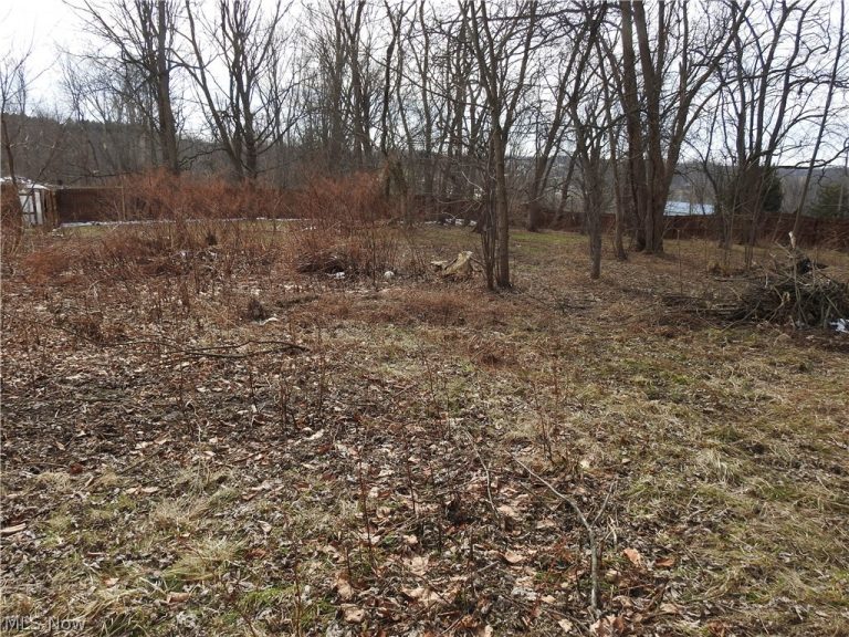 16177 Center Street, Middlefield, OH - Photo 8