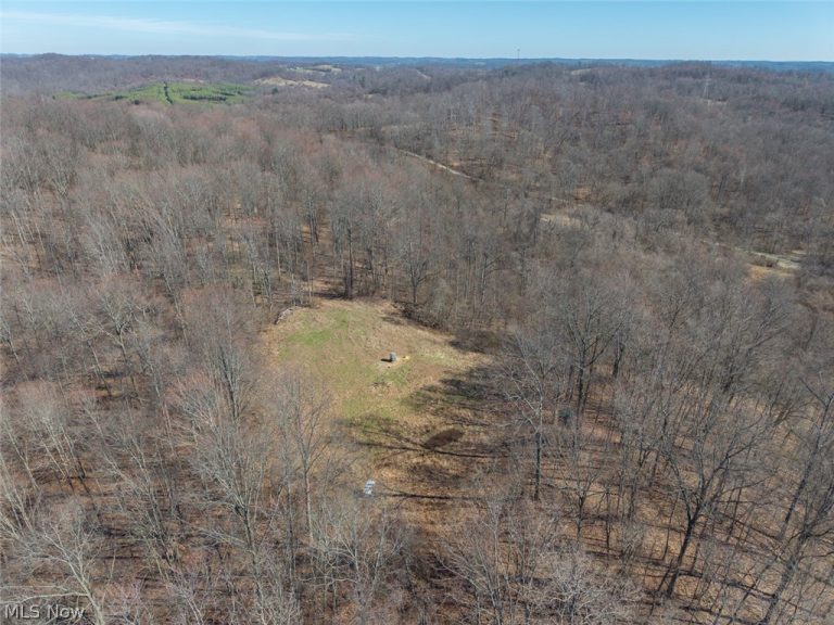 Clem Garvin Road, Caldwell, OH - Photo 6