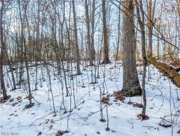 0 Tract 16 Ch 59, Cutler, OH, 45724