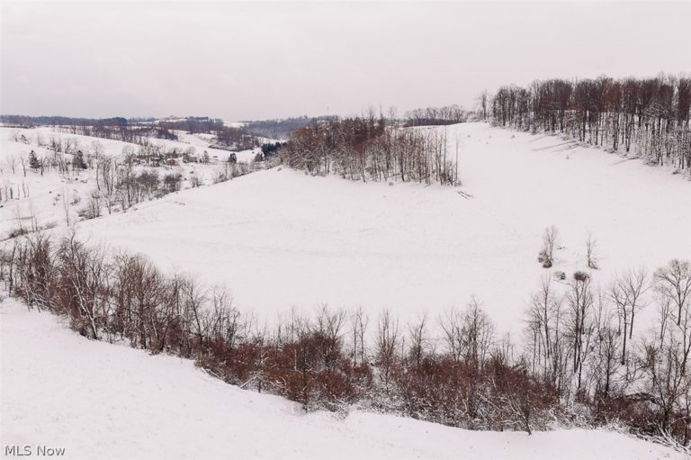 68895 Lloydsville Bannock Road, Belmont, OH - Photo 2