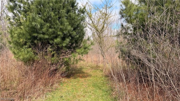 Addison Road, Brookfield, OH - Photo 6