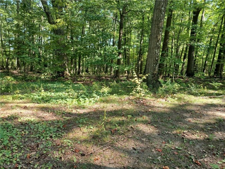 695 Hubbard Road, Lowellville, OH - Photo 5