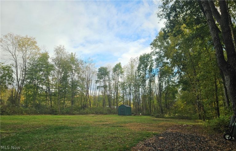 10088 Knowlton Road, Garrettsville, OH - Photo 3