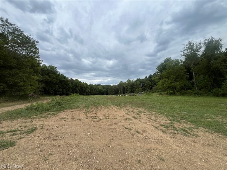 1285 Moody Hollow Road, Blue Rock, OH - Photo 3